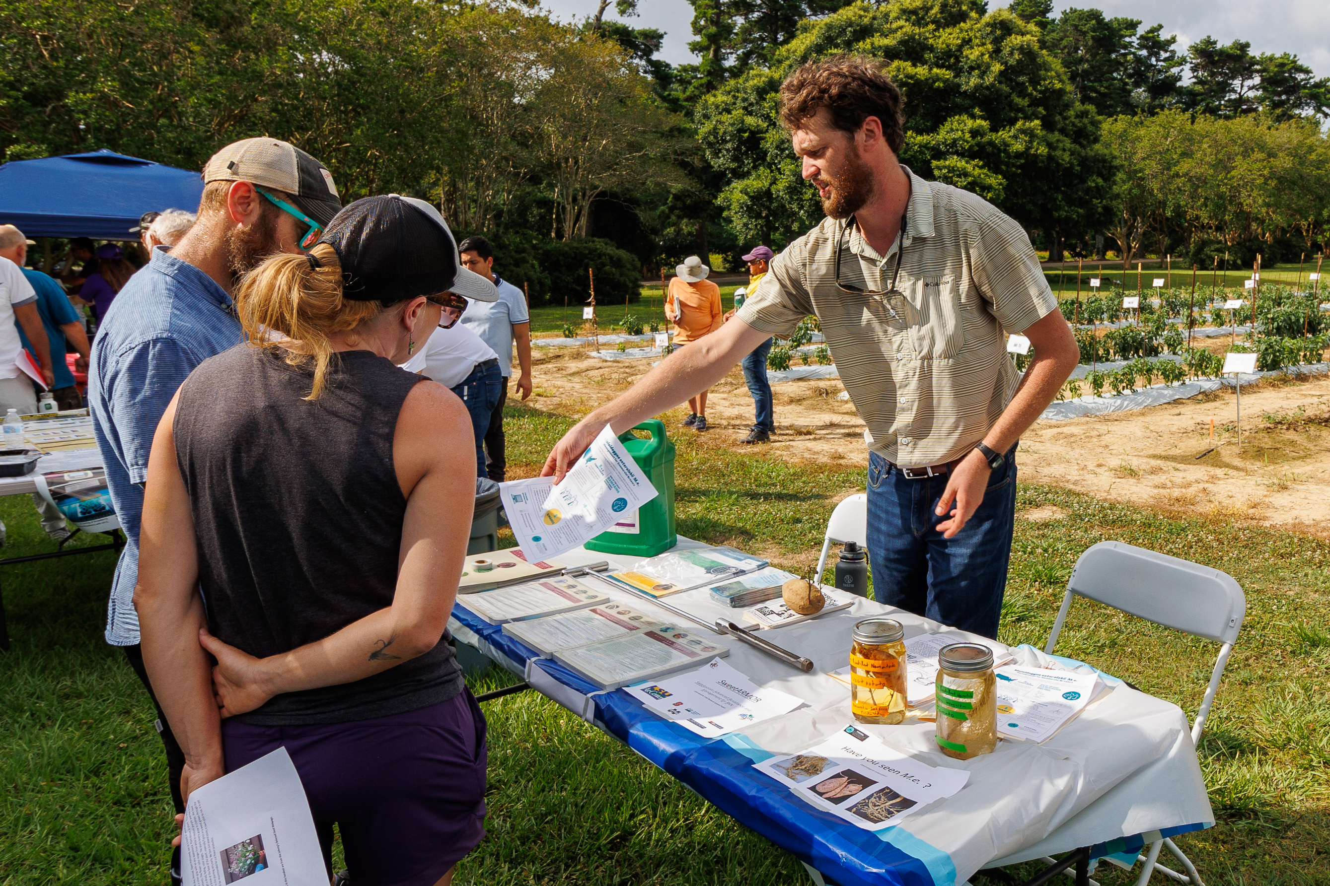 Steamed veggies: Producers from across state brave the heat for commercial vegetable field day 